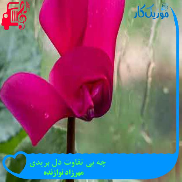 آهنگ چه بی تفاوت دل بریدی از مهرزاد نوازنده + متن ترانه