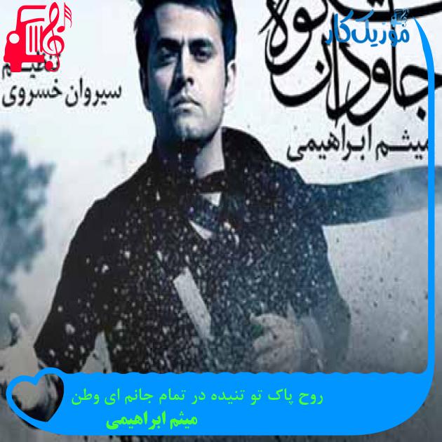 آهنگ روح پاک تو تنیده در تمام جانم ای وطن از میثم ابراهیمی + متن ترانه