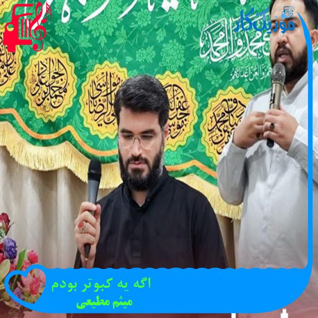 آهنگ اگه یه کبوتر بودم از میثم مطیعی + متن ترانه آهنگ اگه یه کبوتر بودم از میثم مطیعی + متن ترانه