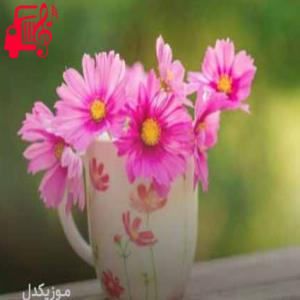 دانلود آهنگ آهنگ میدونی حالم این روزا بدتر از همست گروهی با گیتار از موزیک کار + متن ترانه