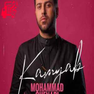 دانلود آهنگ آهنگ کمیاب از محمد چناری + متن ترانه