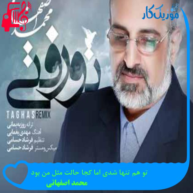 آهنگ تو هم تنها شدی اما کجا حالت مثل من بود از محمد اصفهانی + متن ترانه آهنگ تو هم تنها شدی اما کجا حالت مثل من بود از محمد اصفهانی + متن ترانه