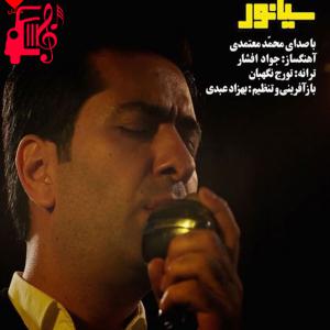 کاور آهنگ سیانور از محمد معتمدی + متن ترانه اثر محمد معتمدی