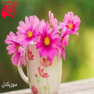 دانلود آهنگ آهنگ جونم ای جونم چی شد نمیدونم از محمد نظری + متن ترانه