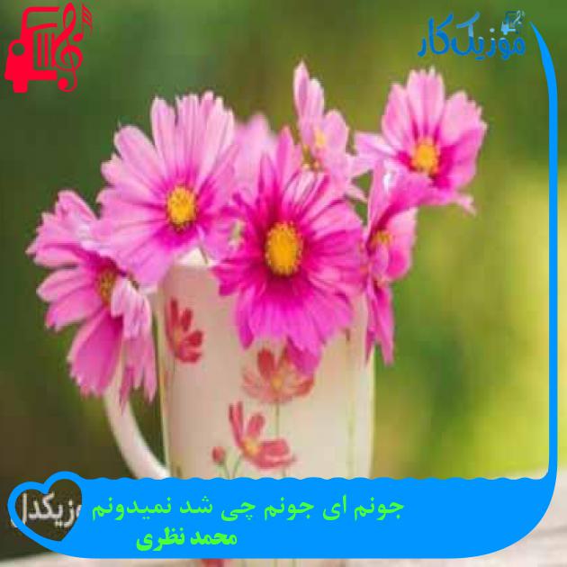 آهنگ جونم ای جونم چی شد نمیدونم از محمد نظری + متن ترانه آهنگ جونم ای جونم چی شد نمیدونم از محمد نظری + متن ترانه