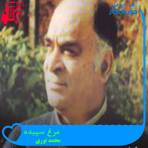 آهنگ مرغ سپیده از محمد نوری + متن ترانه آهنگ مرغ سپیده از محمد نوری + متن ترانه