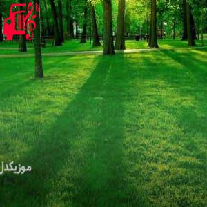 کاور آهنگ عشقم ببخش اگه بازم چشمام به گریه میشینه از موزیک کار اثر موزیک کار