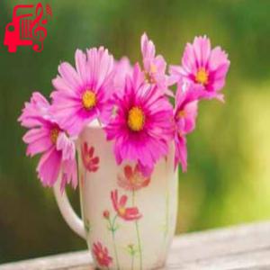 کاور آهنگ خندیده بیا از محمد وکیلی اثر محمد وکیلی