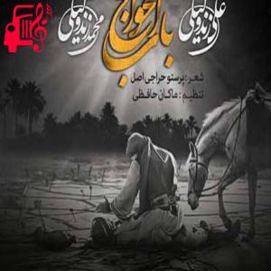 کاور آهنگ باب الحوائج از علی زند وکیلی + متن ترانه اثر علی زند وکیلی