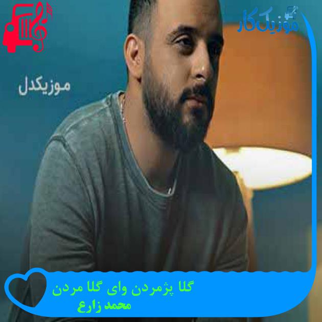 آهنگ گلا پژمردن وای گلا مردن از محمد زارع + متن ترانه آهنگ گلا پژمردن وای گلا مردن از محمد زارع + متن ترانه