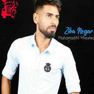 کاور آهنگ زیبا نگار از محمد علی میرشکال اثر محمد علی میرشکال