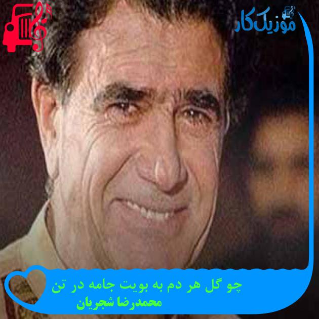 آهنگ چو گل هر دم به بویت جامه در تن از محمدرضا شجریان + متن ترانه آهنگ چو گل هر دم به بویت جامه در تن از محمدرضا شجریان + متن ترانه
