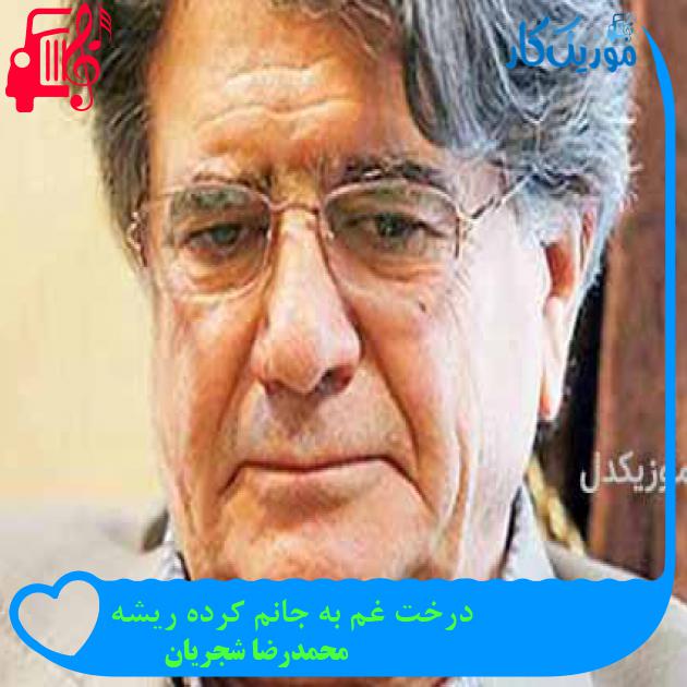 آهنگ درخت غم به جانم کرده ریشه از محمدرضا شجریان + متن ترانه آهنگ درخت غم به جانم کرده ریشه از محمدرضا شجریان + متن ترانه