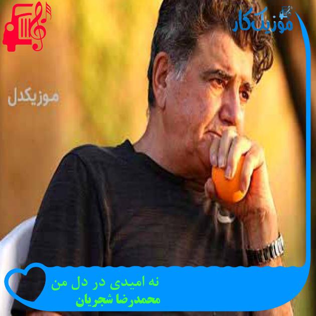 آهنگ نه امیدی در دل من از محمدرضا شجریان + متن ترانه آهنگ نه امیدی در دل من از محمدرضا شجریان + متن ترانه