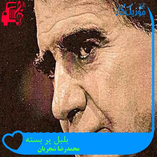 آهنگ بلبل پر بسته از محمدرضا شجریان + متن ترانه آهنگ بلبل پر بسته از محمدرضا شجریان + متن ترانه