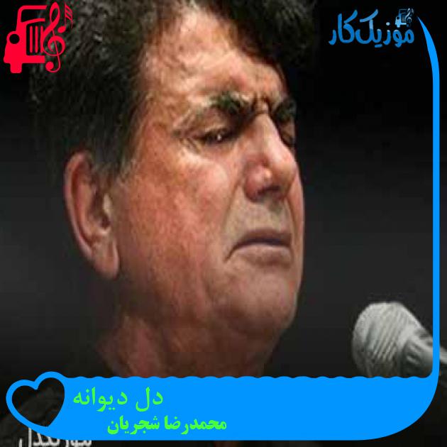آهنگ دل دیوانه از محمدرضا شجریان + متن ترانه آهنگ دل دیوانه از محمدرضا شجریان + متن ترانه