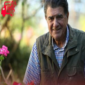 دانلود آهنگ آهنگ دل شیدا از محمدرضا شجریان + متن ترانه