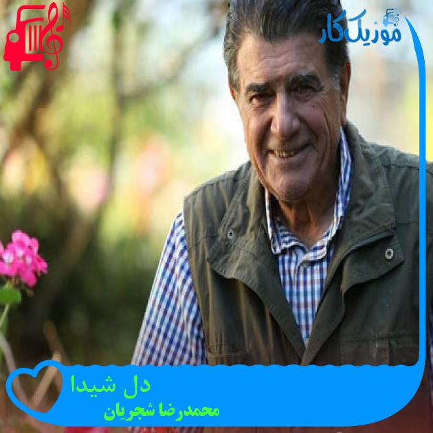 آهنگ دل شیدا از محمدرضا شجریان + متن ترانه آهنگ دل شیدا از محمدرضا شجریان + متن ترانه