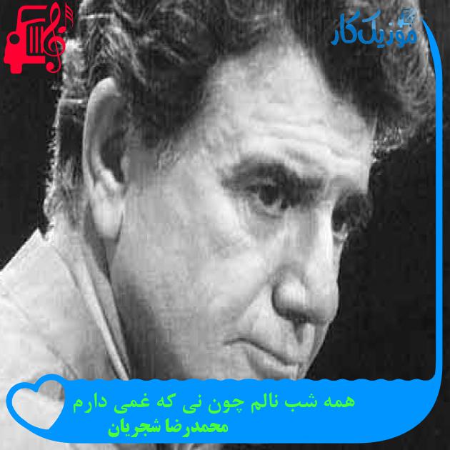 آهنگ همه شب نالم چون نی که غمی دارم از محمدرضا شجریان + متن ترانه آهنگ همه شب نالم چون نی که غمی دارم از محمدرضا شجریان + متن ترانه