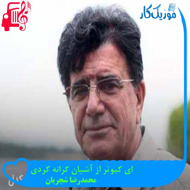 آهنگ ای کبوتر از آشیان کرانه کردی از محمدرضا شجریان + متن ترانه