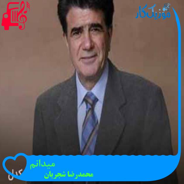 آهنگ میدانم از محمدرضا شجریان + متن ترانه آهنگ میدانم از محمدرضا شجریان + متن ترانه