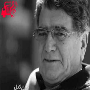 دانلود آهنگ آهنگ پیام نسیم از محمدرضا شجریان + متن ترانه