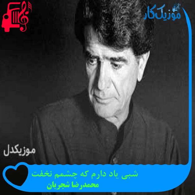 آهنگ شبی یاد دارم که چشمم نخفت از محمدرضا شجریان + متن ترانه