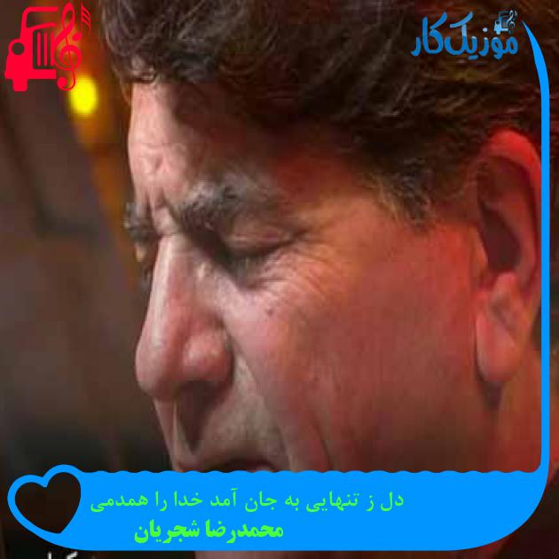 آهنگ دل ز تنهایی به جان آمد خدا را همدمی از محمدرضا شجریان + متن ترانه