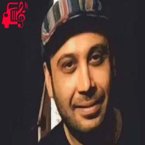 کاور آهنگ بچه بودم بادبادکای رنگی دلخوشی هر روز و هر شبم بود از محسن چاوشی + متن ترانه اثر محسن چاوشی