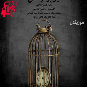 دانلود آهنگ آهنگ جانی برای مرگ مرگی برای یاد از محسن چاوشی + متن ترانه