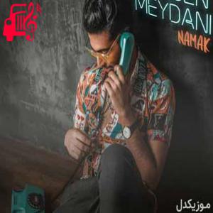 دانلود آهنگ آهنگ انقده خوبی نمیشه آدم دوست نداشته باشه از محسن میدانی + متن ترانه