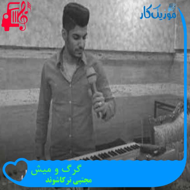 آهنگ گرگ و میش از مجتبی ترکاشوند + متن ترانه آهنگ گرگ و میش از مجتبی ترکاشوند + متن ترانه