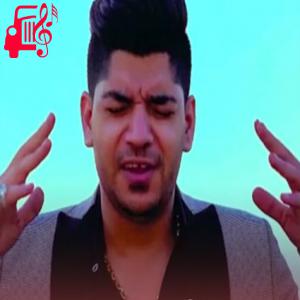دانلود آهنگ آهنگ کبوتر دل افتاده دامش ریمیکس از مجتبی ترکاشوند + متن ترانه