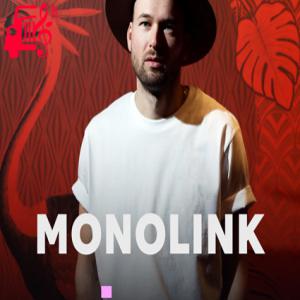 دانلود آهنگ آهنگ sirens از MONOLINK + متن ترانه
