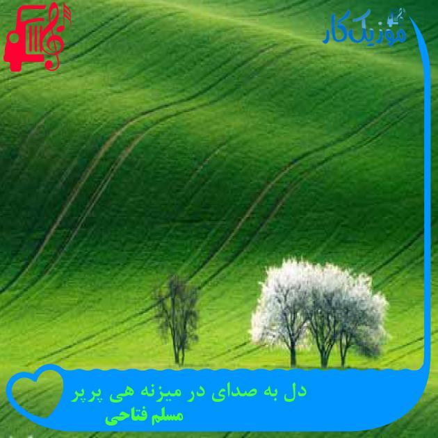 آهنگ دل به صدای در میزنه هی پرپر از مسلم فتاحی + متن ترانه
