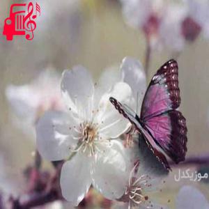دانلود آهنگ آهنگ تو بچه خوشگل همیشه خندونی از مسلم فتاحی