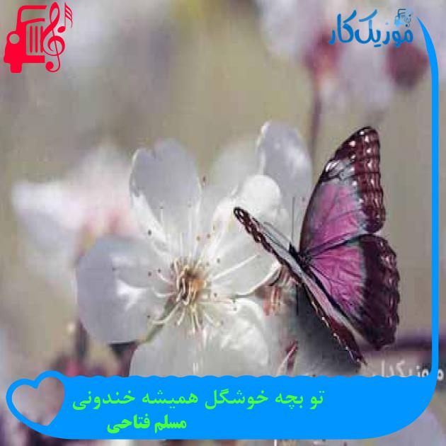 آهنگ تو بچه خوشگل همیشه خندونی از مسلم فتاحی آهنگ تو بچه خوشگل همیشه خندونی از مسلم فتاحی