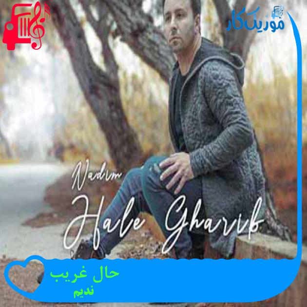 آهنگ حال غریب از ندیم + متن ترانه آهنگ حال غریب از ندیم + متن ترانه