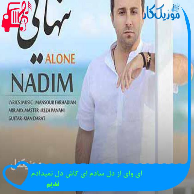 آهنگ ای وای از دل سادم ای کاش دل نمیدادم از ندیم + متن ترانه آهنگ ای وای از دل سادم ای کاش دل نمیدادم از ندیم + متن ترانه