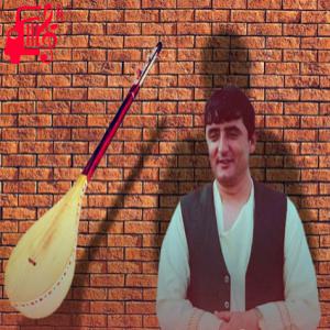 دانلود آهنگ آهنگ الا گل دانه دانه از نجیب کشمی
