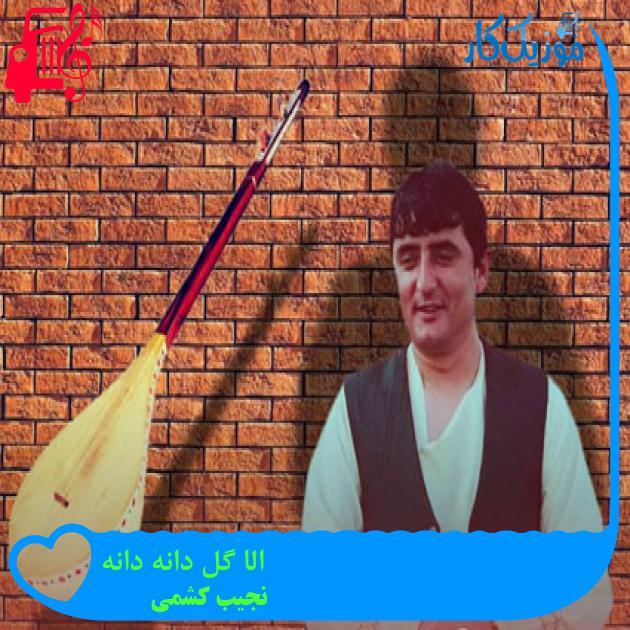 آهنگ الا گل دانه دانه از نجیب کشمی آهنگ الا گل دانه دانه از نجیب کشمی
