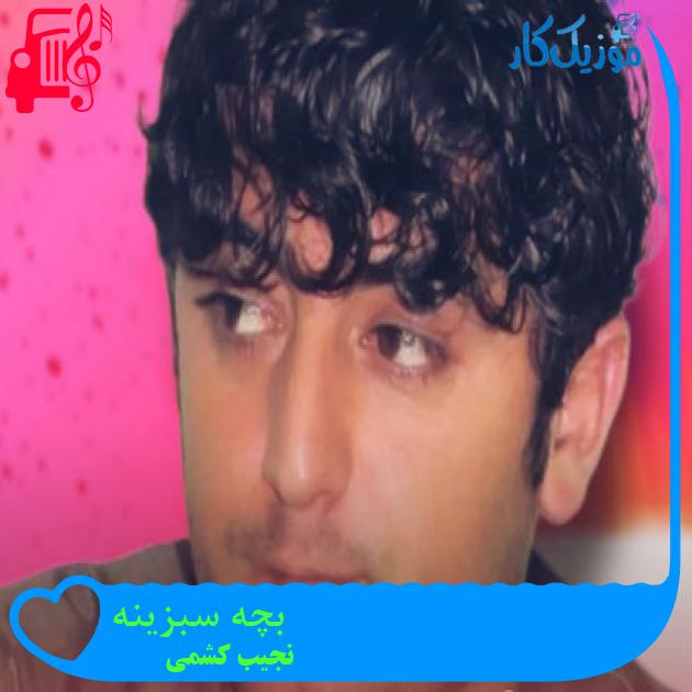 آهنگ بچه سبزینه از نجیب کشمی