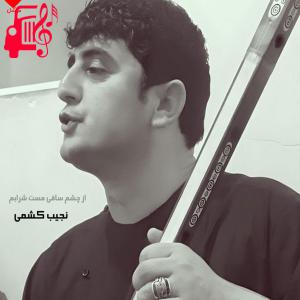 دانلود آهنگ آهنگ از چشم ساقی مست شرابم از نجیب کشمی