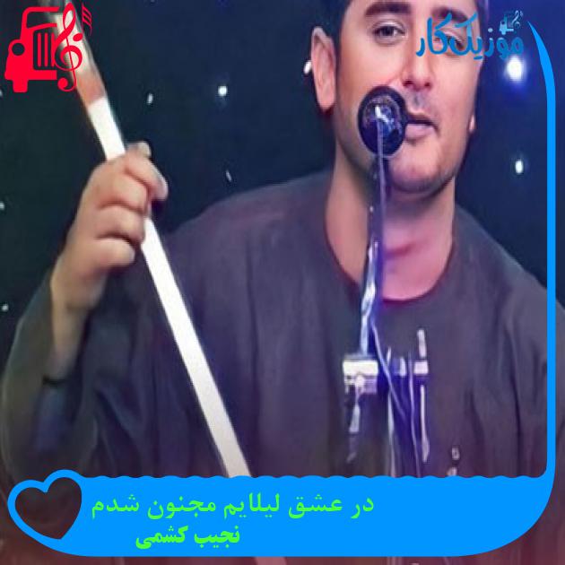 آهنگ در عشق لیلایم مجنون شدم از نجیب کشمی آهنگ در عشق لیلایم مجنون شدم از نجیب کشمی