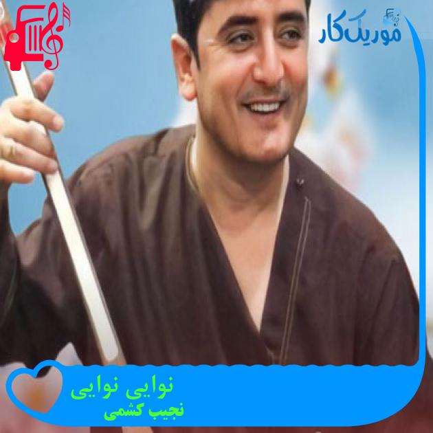 آهنگ نوایی نوایی از نجیب کشمی آهنگ نوایی نوایی از نجیب کشمی