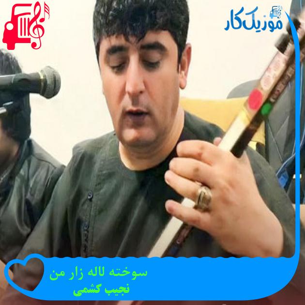 آهنگ سوخته لاله زار من از نجیب کشمی آهنگ سوخته لاله زار من از نجیب کشمی