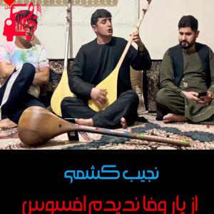 دانلود آهنگ آهنگ از یار وفا ندیدم افسوس از نجیب کشمی