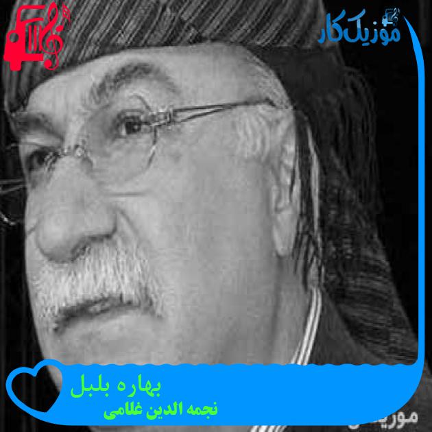 آهنگ بهاره بلبل از نجمه الدین غلامی + متن ترانه آهنگ بهاره بلبل از نجمه الدین غلامی + متن ترانه