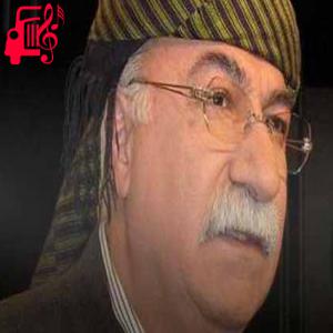 دانلود آهنگ آهنگ قژی نرمت از نجمه الدین غلامی + متن ترانه