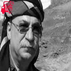 دانلود آهنگ آهنگ گوله گزیزه از نجمه الدین غلامی + متن ترانه